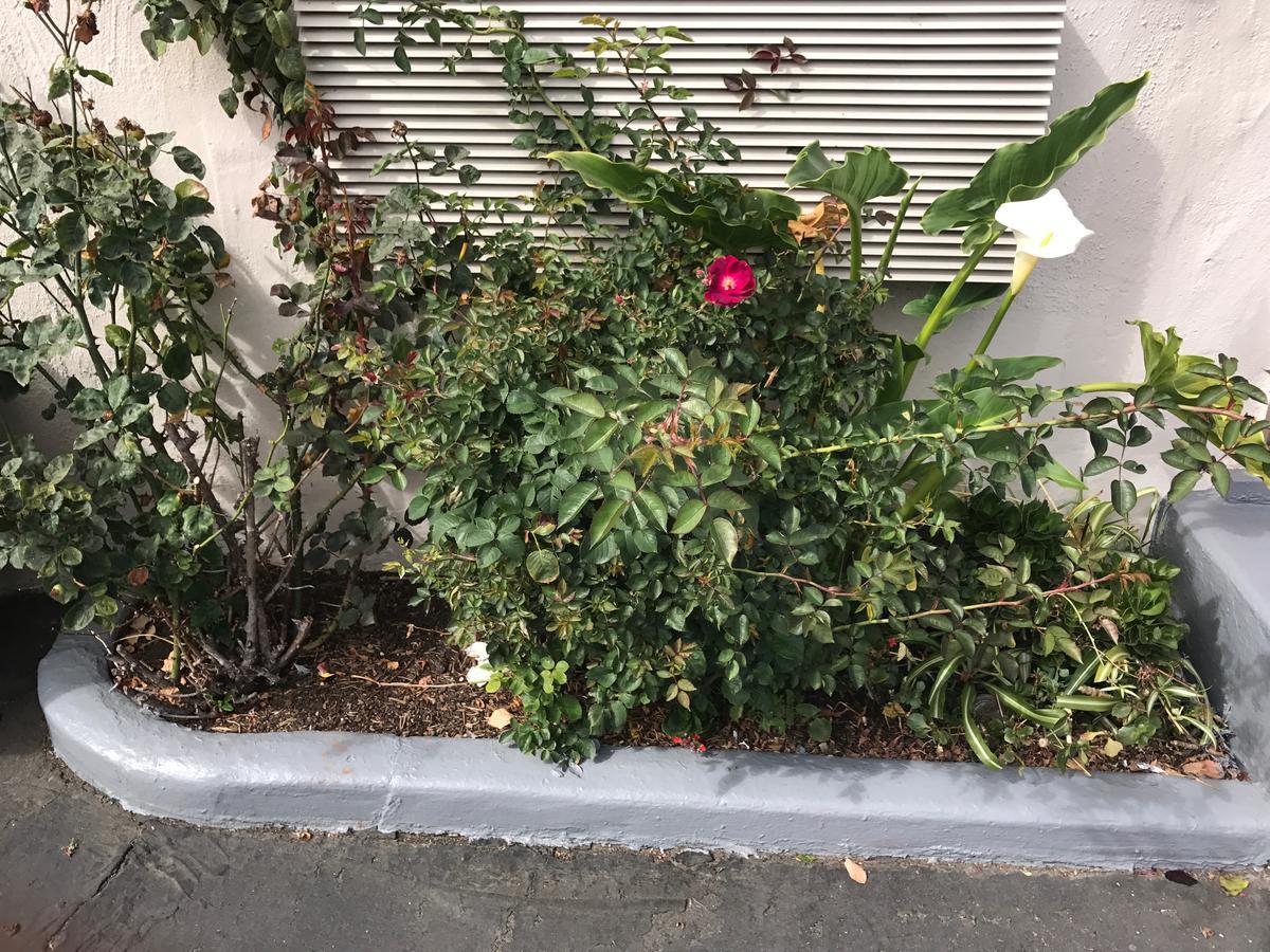 Geneva Motel Daly City Εξωτερικό φωτογραφία