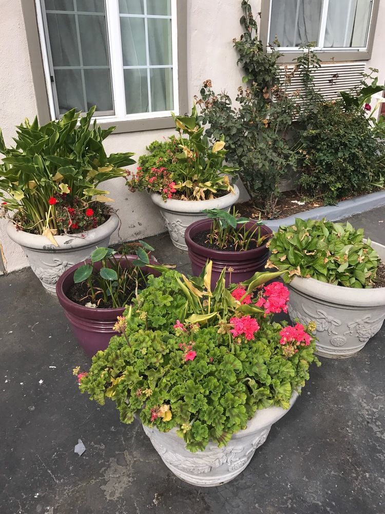 Geneva Motel Daly City Εξωτερικό φωτογραφία